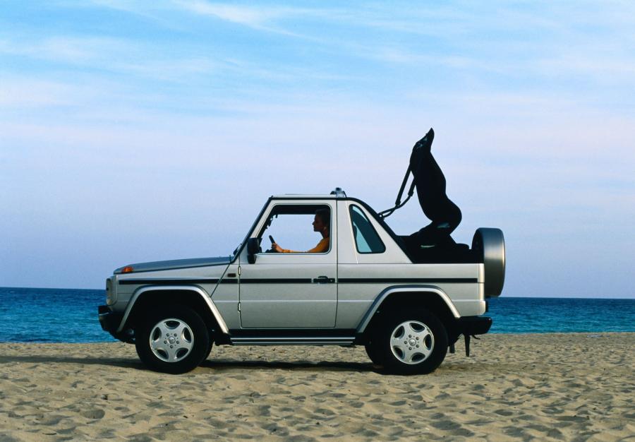  Mercedes-Benz G-Class 1990 года  (фото 246 из 260)